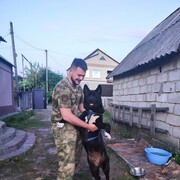 ���������� �������, ���� ������� ����, 29 ���, ������������ ��� ������, c�������� ���������, ���������