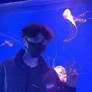  ,   , 22 ,   