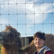 ���������� ����, ���� ������� ����, 37 ���, ������������ ��� ������, ����� � ���������, c�������� ���������