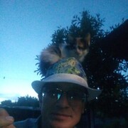 ���������� �������, ���� ������� �������, 44 ����, ������������ ��� ������, ����� � ���������, c�������� ���������, ���������