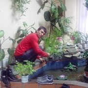 ���������� �����, ���� ������� �����, 33 ����, ������������ ��� ����� � ���������, c�������� ���������