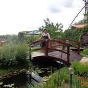 ,   , 49 ,     , c 