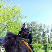 ���������� �����, ���� ������� ����������, 60 ���, ������������ ��� ����� � ���������, c�������� ���������