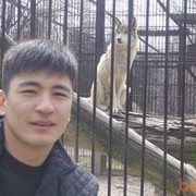 ���������� �����, ���� ������� ��������, 36 ���, ������������ ��� ������, ����� � ���������, c�������� ���������, ���������