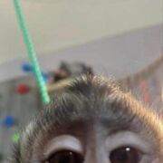  , Anna