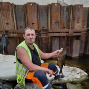 ���������� �����-���������, ���� ������� ������, 42 ����, ������������ ��� ������, ���������