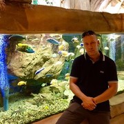  ,   Vadimka, 39 ,   ,   , c 