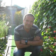 ���������� ���������, ������� ������, 39