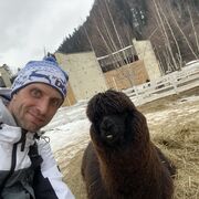 ���������� ������ ��������, ���� ������� �����, 38 ���, ������������ ��� ������, ����� � ���������, c�������� ���������