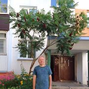 ���������� ������, ���� ������� �������, 61 ���, ������������ ��� c�������� ���������