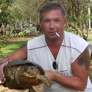  ,   , 58 ,   