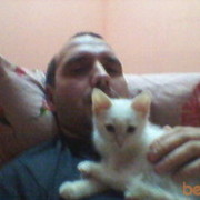 ���������� ������, ���� ������� �����, 47 ���, ������������ ��� ����� � ���������, c�������� ���������