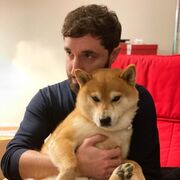 ���������� ���������, ���� ������� ����, 34 ����, ������������ ��� ����� � ���������, c�������� ���������