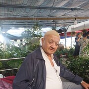  ,   , 65 ,   ,   