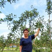  ,   , 62 ,   ,   