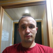  ,   Mozgachik, 42 ,   ,   , c 