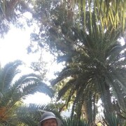  -,   , 63 ,     , c 