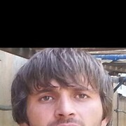 ���������� ������ ��������, ���� ������� Shamil, 38 ���, ������������ ��� ������, ����� � ���������, c�������� ���������