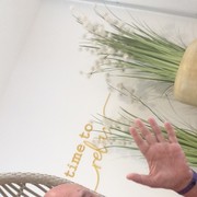   ,    , 46 ,     , c 