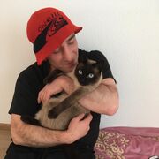 ���������� �����-���������, ���� ������� �������, 49 ���, ������������ ��� ������, ����� � ���������