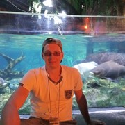 ���������� ������, ���� ������� ������, 44 ����, ������������ ��� ������, ����� � ���������, c�������� ���������