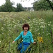 ���������� ����, ���� ������� �������, 58 ���, ������������ ��� ������, ����� � ���������, c�������� ���������