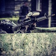 ���������� ������, ���� ����� �����, 24 ����, ������������ ��� ���������