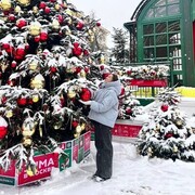 ���������� ������ ��������, ���� ������� �����, 52 ����, ������������ ��� c�������� ���������