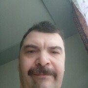 -,   , 43
