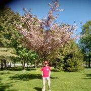  -,   , 31 ,   ,   , c 