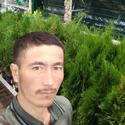  -,   , 36 ,   ,   