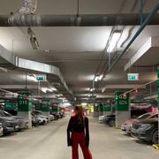 ���������� �����������, ���� ������� ������, 20 ���, ������������ ��� ����� � ���������, c�������� ���������