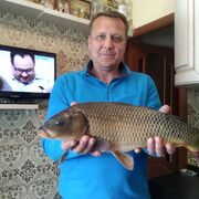 ���������� �������, ���� ������� �������, 49 ���, ������������ ��� ������, ����� � ���������