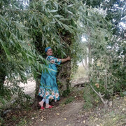 ���������� �������, ���� ������� �������, 48 ���, ������������ ��� ����� � ���������, c�������� ���������, ���������