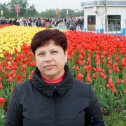  ,   , 59 ,  