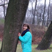 ���������� �����-���������, ���� ������� ��������, 38 ���, ������������ ��� ����� � ���������, c�������� ���������