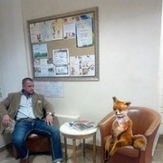  ,   , 54 ,   