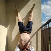 ���������� ����, ���� ������� �������, 43 ����, ������������ 