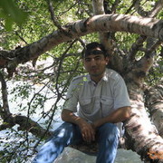  ,   Baki, 51 ,     , c 