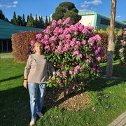 ������ 25� ���������