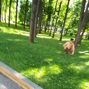 ���������� ������, ���� ����� �����, 23 ����, ������������ ��� ������, ����� � ���������