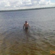  ,   , 48 ,  