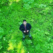 ���������� ������-��-����, ���� ������� ����, 30 ���, ������������ ��� ������, ����� � ���������