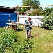  ,   , 55 ,   ,   