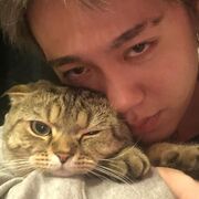 ���������� ������, ���� ������� ���������, 31 ���, ������������ ��� ������, ����� � ���������, ���������