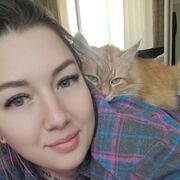 ���������� �����, ���������