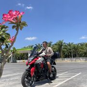 ���������� �����, ���� ������� ������, 38 ���, ������������ ��� ������, ����� � ���������