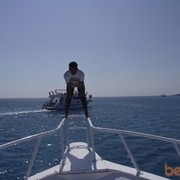  ,   Saied, 43 ,     , c , 