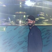 ���������� ������, ���� ������� �����, 29 ���, ������������ ��� ������, ����� � ���������