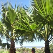  ,   , 66 ,   ,   , c 